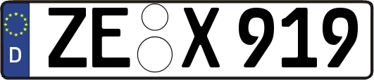 ZE-X919