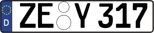 ZE-Y317