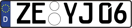 ZE-YJ06