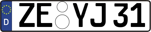 ZE-YJ31