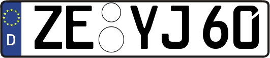 ZE-YJ60