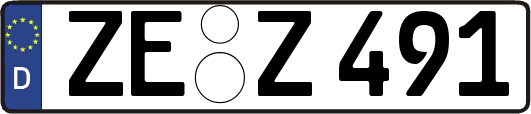 ZE-Z491