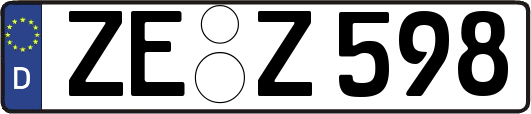 ZE-Z598