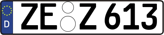 ZE-Z613