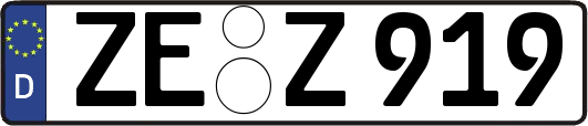 ZE-Z919