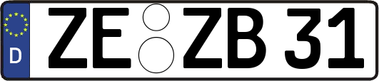 ZE-ZB31