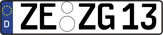 ZE-ZG13