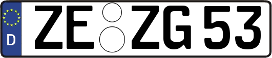 ZE-ZG53