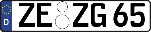 ZE-ZG65