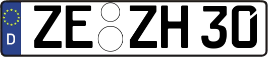 ZE-ZH30