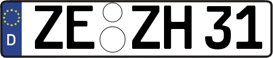 ZE-ZH31