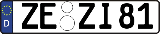 ZE-ZI81