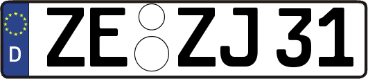 ZE-ZJ31