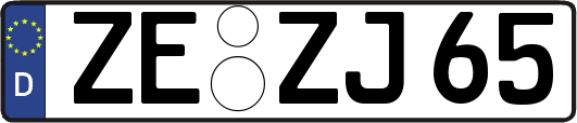 ZE-ZJ65