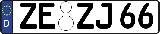 ZE-ZJ66