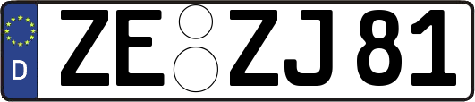 ZE-ZJ81