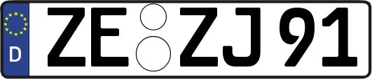 ZE-ZJ91