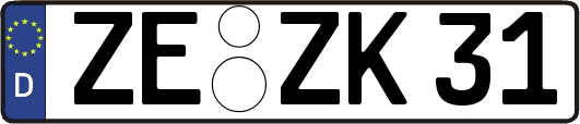 ZE-ZK31