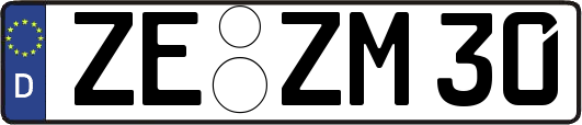 ZE-ZM30