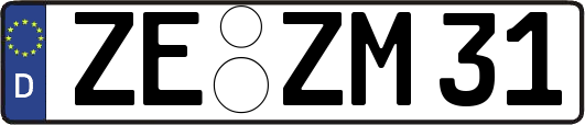 ZE-ZM31