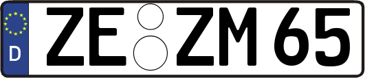 ZE-ZM65