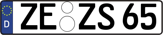 ZE-ZS65
