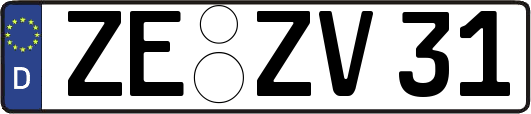 ZE-ZV31