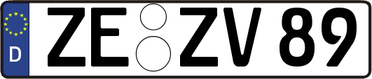 ZE-ZV89