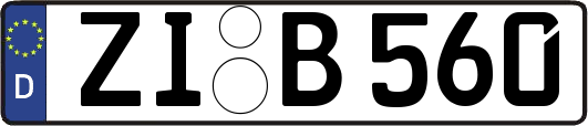 ZI-B560
