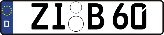 ZI-B60