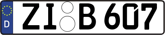ZI-B607