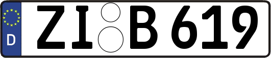 ZI-B619