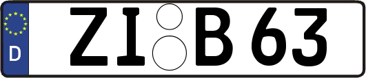 ZI-B63