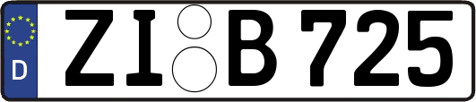 ZI-B725