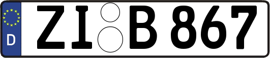 ZI-B867
