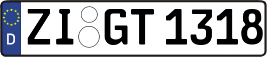 ZI-GT1318