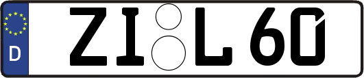 ZI-L60