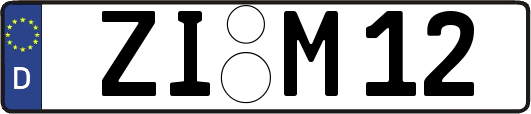 ZI-M12