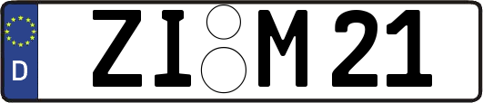 ZI-M21