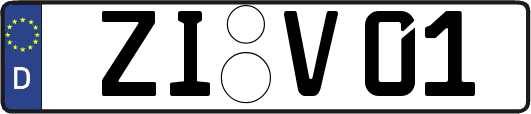 ZI-V01
