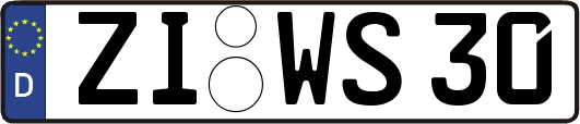 ZI-WS30
