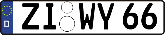 ZI-WY66