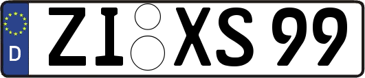 ZI-XS99