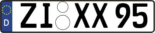 ZI-XX95