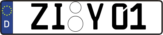 ZI-Y01