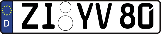ZI-YV80