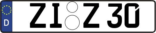 ZI-Z30
