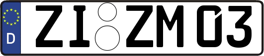 ZI-ZM03