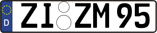 ZI-ZM95