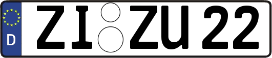 ZI-ZU22